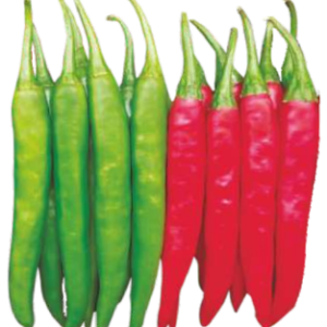8420 Hybrid Chilli