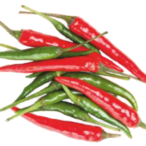 Laxmi 99  Hybrid Chilli