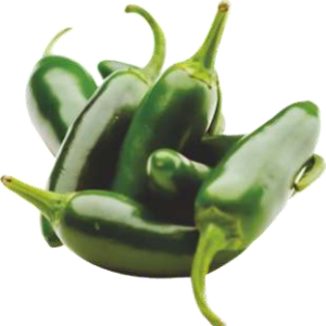 Bullet 4747 Hybrid Chilli