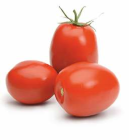 SVS 666 Hybrid Tomato