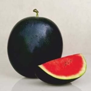 SV 614 (Hybrid Watermelon)