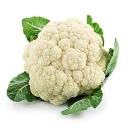 496 (Hybrid Cauliflower)