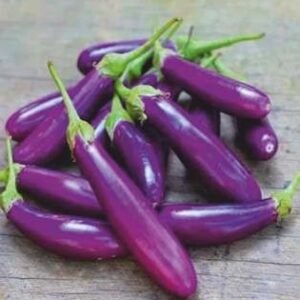 Super 764 (Hybrid Brinjal)