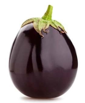 SV - 510 (Hybrid Brinjal)