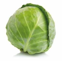 Blue Bay (Hybrid Cabbage)