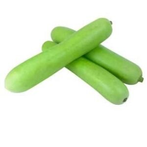 Sadabahar (Hybrid Bottle Gourd)