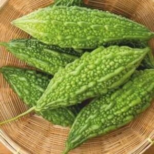 Balwan (Hybrid Bitter Gourd)