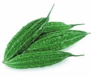 Kabir (Hybrid Bitter Gourd)