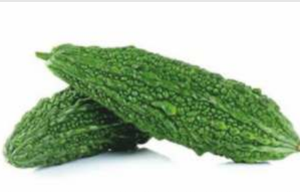 SVS - 2424 (Hybrid Bitter Gourd)