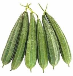 Niranjan (Hybrid Ridge Gourd)