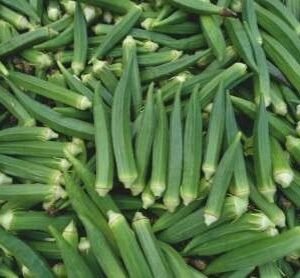 Pranil (Hybrid Bhindi)