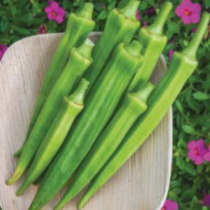 8855 (Hybrid Bhindi)