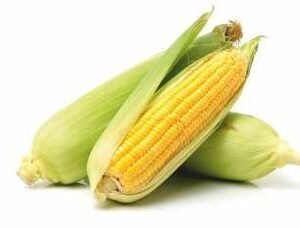 Mahraja (Hybrid Maize)
