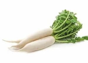 Chandini (Hybrid Radish)
