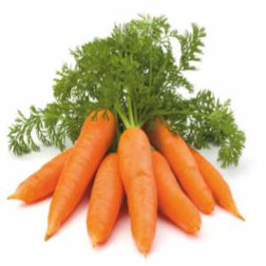 SVS - Kuroda (Hybrid Carrot)