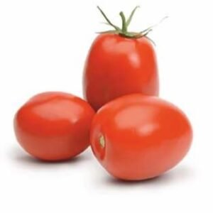 SVS - 1555 (Narayani) (Hybrid Tomato)