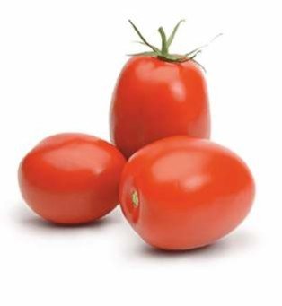 SVS - 1555 (Narayani) (Hybrid Tomato)