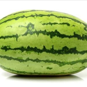 SV 510 (Hybrid Watermelon)