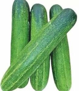 Pragati (Hybrid Cucumber)