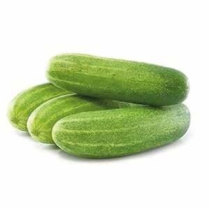 Aahil (Hybrid Cucumber)