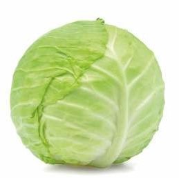 Green 75 (Hybrid Cabbage)