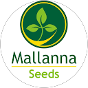 Mallanna Seeds profile picture